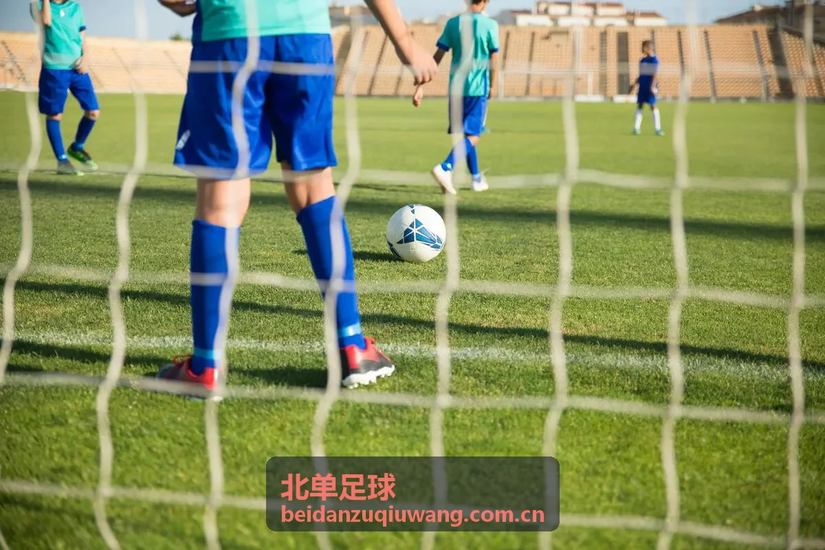 北单足球品牌介绍：专注北京单场足球数据服务